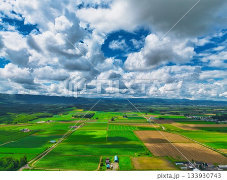北の大地　夏 133930743
