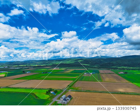 北の大地　夏 133930745