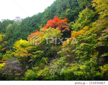 紅葉した山 133930867