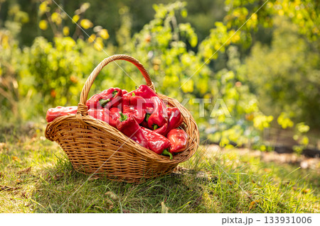 Red sweet peppers Red sweet peppers 133931006