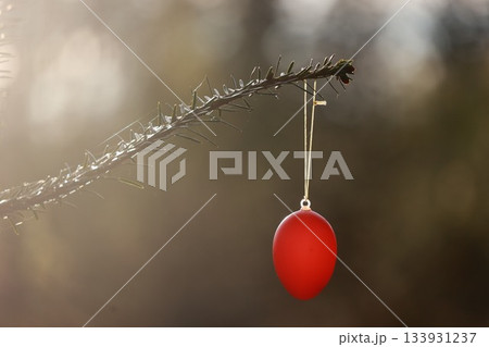A red egg ornament hangs from a tree branch A red egg ornament hangs from a tree branch 133931237