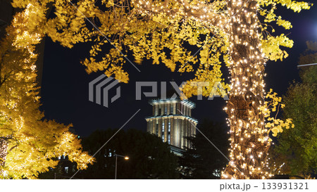 日本大通りのイルミネーション 133931321