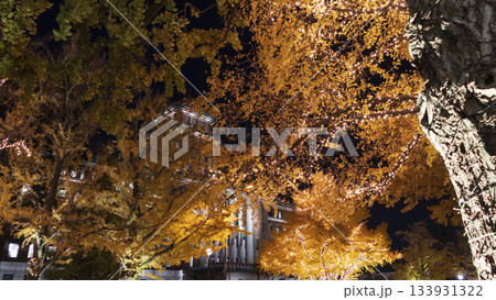 日本大通りのイルミネーション 133931322