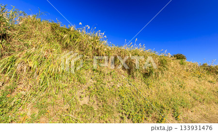 東京湾の浦賀水道の観音崎の冬 133931476