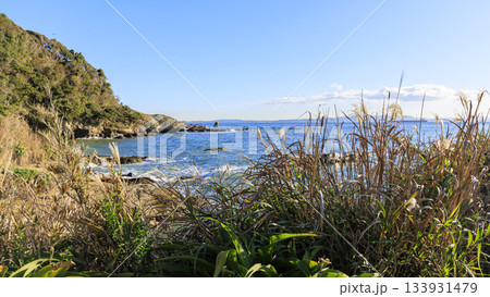 東京湾の浦賀水道の観音崎の冬 133931479