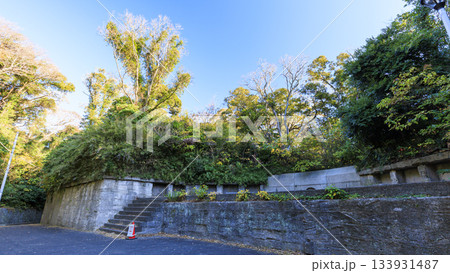 東京湾の浦賀水道の観音崎の冬 133931487