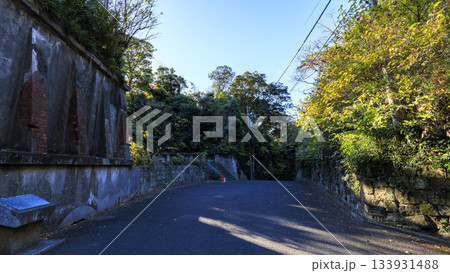 東京湾の浦賀水道の観音崎の冬 133931488