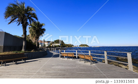 東京湾の浦賀水道の観音崎の冬 133931503