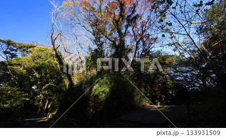 東京湾の浦賀水道の観音崎の冬 133931509