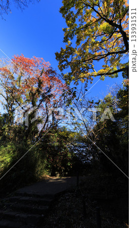 東京湾の浦賀水道の観音崎の冬 133931511