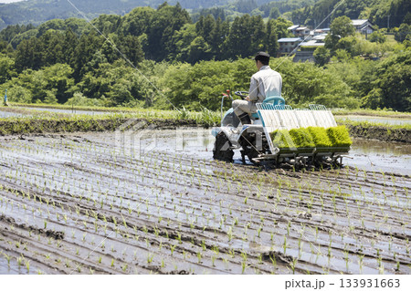 田植え機で田植えをする若い男性　米農家 133931663
