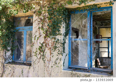 Abandoned Building With Blue Window Frames, Ivy Overgrowth And Broken Glassed Interiors 133931669