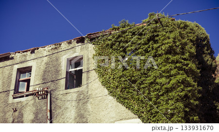 Weathered Building With Ivy Overgrowth Under Bright Blue Sky, Exposed Pipes, and Concrete Facade Texture Weathered Building With Ivy Overgrowth Under Bright Blue Sky, Exposed Pipes, and Concrete Facade Texture 133931670