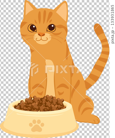 cat feeding time orange tabby kitten with food bowl adorable pet illustration for animal and lifestyle content cat feeding time orange tabby kitten with food bowl adorable pet illustration for animal and lifestyle content 133931865