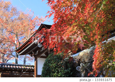 寺と紅葉 133931875