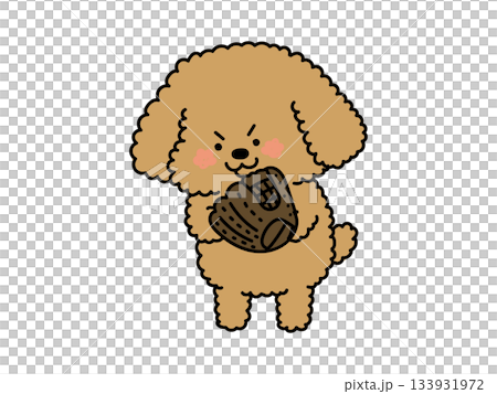 Let's play baseball! A dog who wants to play baseball 133931972