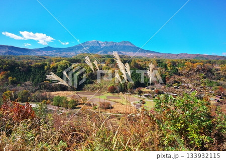 秋の御嶽山を柳又ビューポイントのススキ越しに望む 133932115