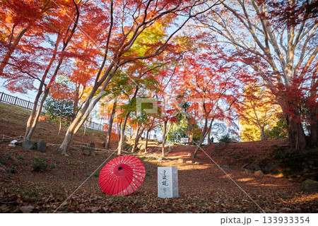 雀宮公園の紅葉と赤い和傘 雀宮公園の紅葉と赤い和傘 133933354