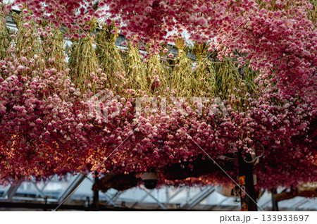 Amsterdam Flower Market Amsterdam Flower Market 133933697