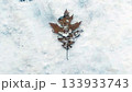 雪の上に落ちた枯れ葉 133933743