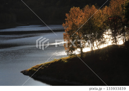 初冬の北海道 夕日に照らされ波立つ湖面と紅葉の湖畔林 初冬の北海道 夕日に照らされ波立つ湖面と紅葉の湖畔林 133933839