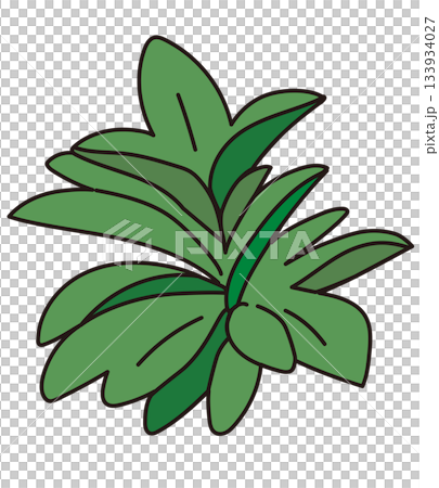 商業施設の植栽デザイン|おしゃれな外構・低木・シンボルツリーのベクターイラスト 商業施設の植栽デザイン|おしゃれな外構・低木・シンボルツリーのベクターイラスト 133934027