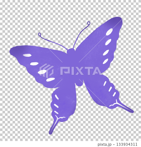 蝴蝶 / 印刷風格 / 復古 / 手繪水彩插畫 / 類比風格 / 數位藝術素材 / Procreate 133934311