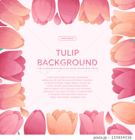 Colorful background with delicate tulips. The concept of a holiday, spring, women's day, Valentine's day. Vector illustration for the design of posters, flyers, postcards and invitations 133934316