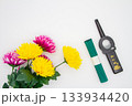 菊の花と線香、ライター - 仏壇、供養、お盆、法事の静かなイメージ 133934420
