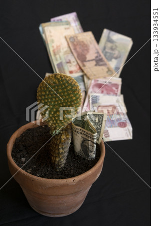 cactus plant with international currency banknotes concept investment cactus plant with international currency banknotes concept investment 133934551