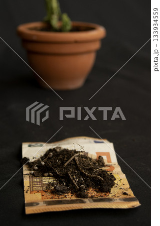 land on a banknote symbolizing economic collapse land on a banknote symbolizing economic collapse 133934559
