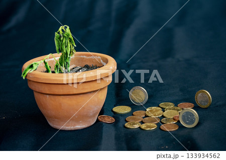 wilted plant in pot with coins symbolizing financial crisis concept 133934562
