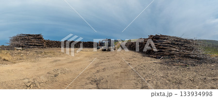 Logging Scene with Stacked Timber and Machinery Logging Scene with Stacked Timber and Machinery 133934998