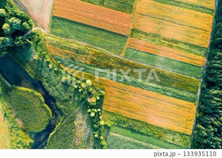 Beautiful summer landscape. View from above of the countryside. Stream and farmlands near a pine forest Beautiful summer landscape. View from above of the countryside. Stream and farmlands near a pine forest 133935110