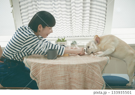 犬の世話をする女性 133935501