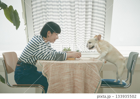 犬の世話をする女性 犬の世話をする女性 133935502