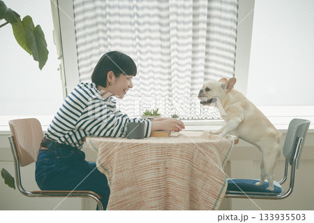 犬の世話をする女性 犬の世話をする女性 133935503