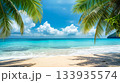美しい南国のビーチの風景 133935574