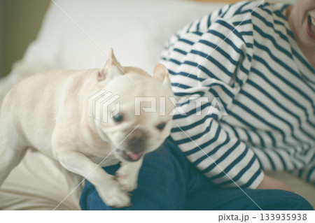 飼い主に突撃する犬 133935938