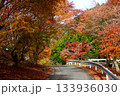 紅葉に染まる秋の道路 133936030
