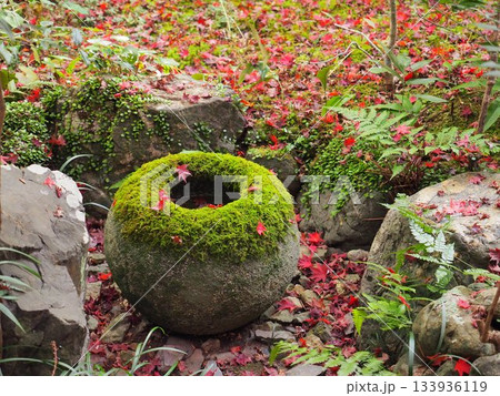 京都_厭離庵 133936119