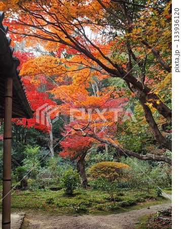 京都_厭離庵 133936120