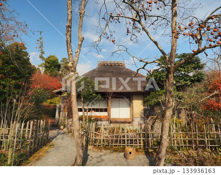 京都_落柿舎 133936163