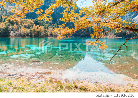 Scenery Jiuzhaigou national park in Sichuan, China. Beautiful Five Flower Lake in Autumn season. Famous Landmark and Vacation near Chengdu, China. Asia travel concept Scenery Jiuzhaigou national park in Sichuan, China. Beautiful Five Flower Lake in Autumn season. Famous Landmark and Vacation near Chengdu, China. Asia travel concept 133936216