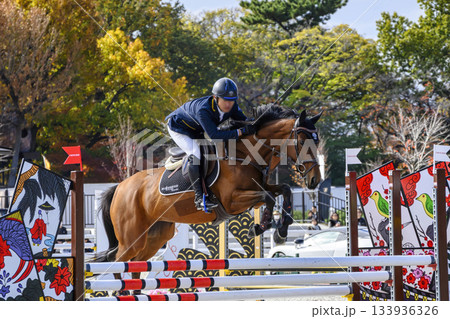 東京都世田谷区 馬事公苑 ジャパン ブリーディング 障害馬術 ホースショー 東京都世田谷区 馬事公苑 ジャパン ブリーディング 障害馬術 ホースショー 133936326