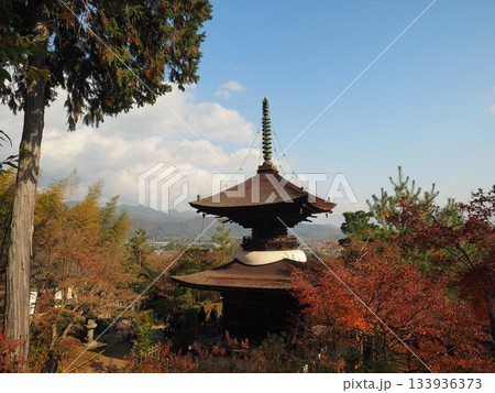 京都_常寂光寺 京都_常寂光寺 133936373