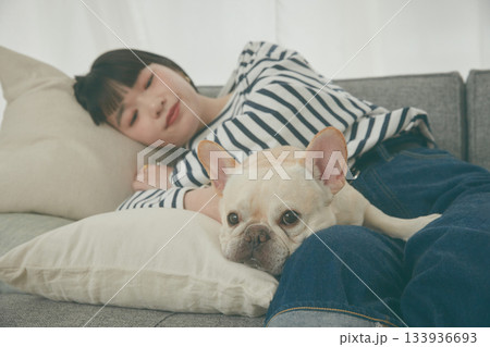 ソファでくつろぐ犬と女性 ソファでくつろぐ犬と女性 133936693