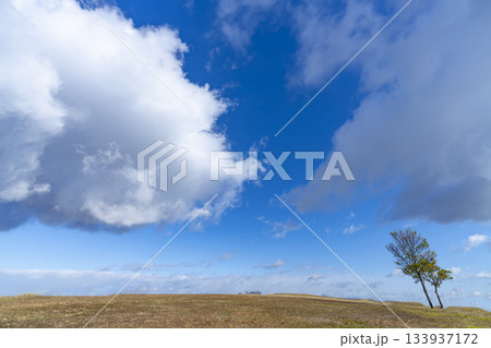 冬空と雲と草原 冬空と雲と草原 133937172