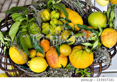 citrus rarities 133937181