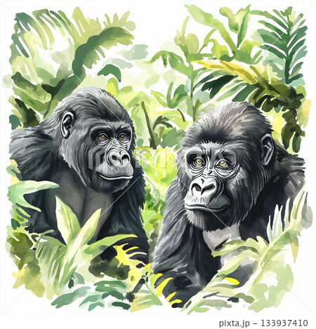 Bwindi Impenetrable Forest - Gorilla Trekking. Bwindi Impenetrable Forest - Gorilla Trekking hand drawn watercolor illustration on white background 133937410